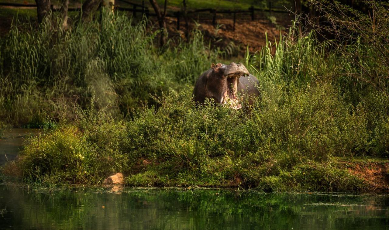 Sabi River Sun Resort Hazyview Extérieur photo