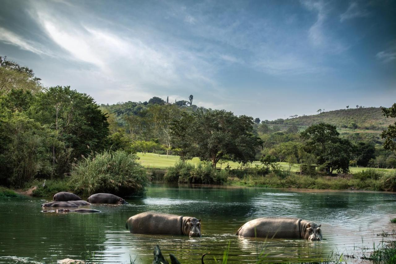 Sabi River Sun Resort Hazyview Extérieur photo