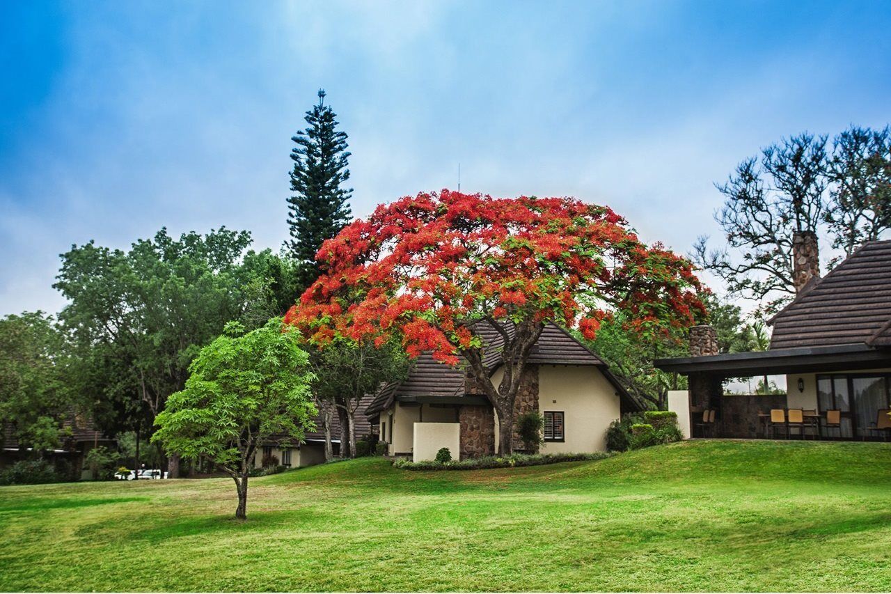 Sabi River Sun Resort Hazyview Extérieur photo